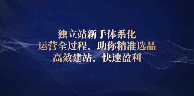 独立站新手体系化 运营全过程，助你精准选品、高效建站、快速盈利-网创星球