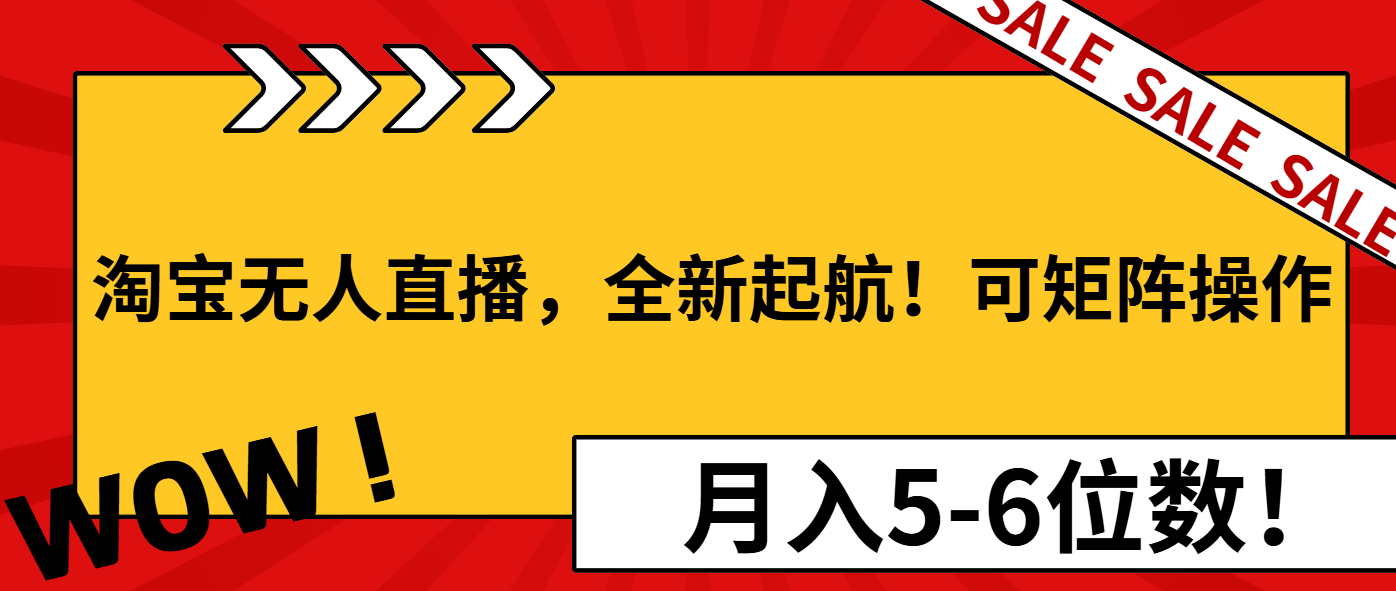 淘宝无人直播，全新起航！可矩阵操作，月入5-6位数！-网创星球