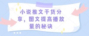 小说推文干货分享，图文提高播放量的秘诀-网创星球