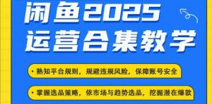 2025闲鱼电商运营全集,2025最新咸鱼玩法-网创星球