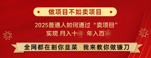 必看，做项目不如卖项目，2025普通人如何通过“卖项目”实现月入十个，年入百个-网创星球