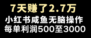 全网首发，7天赚了2.6万，2025利润超级高！-网创星球