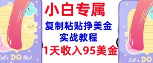 复制粘贴挣美金，0门槛，1天收入95美刀，3分钟学会，内部教程(首次公开)-网创星球