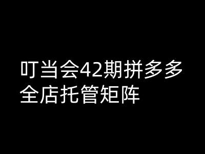 叮当会拼多多打爆班原创高阶技术第42期，拼多多全店托管矩阵-网创星球