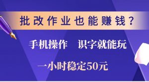 批改作业也能赚钱？0门槛手机项目，识字就能玩！一小时稳定50元！-网创星球