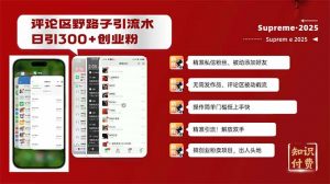 评论区野路子截流创业粉新方法,日被动加300+创业粉,精准引流被动添加...-网创星球