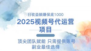 2025视频号代运营 日躺赚1000＋ 只需提供账号-网创星球