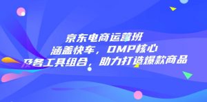 京东电商运营班：涵盖快车，DMP核心及各工具组合，助力打造爆款商品-网创星球