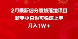 2月最新细分领域落地项目，新手小白也可快速上手，月入1W-网创星球