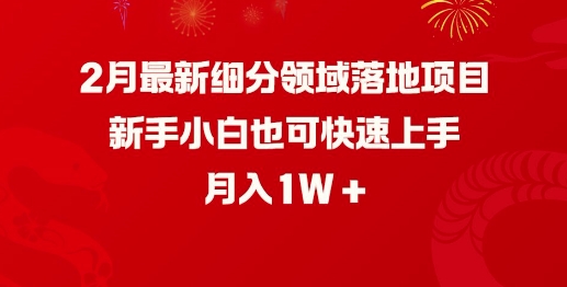 2月最新细分领域落地项目，新手小白也可快速上手，月入1W-网创星球