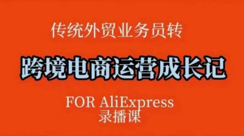 跨境电商速卖通运营课，​运营方法论+后台实操，逻辑清晰-网创星球
