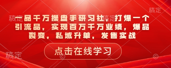 一品千万操盘手研习社，打爆一个引流品，实现百万千万业绩，爆品裂变，私域升单，发售实战-网创星球