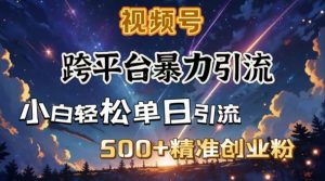 跨平台暴力引流，私域完美闭环，日引500+精准创业粉-网创星球
