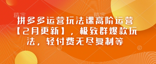 拼多多运营玩法课高阶运营【2月更新】，极致群爆款玩法，轻付费无尽复制等-网创星球