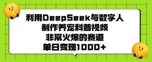 利用DeepSeek与数字人制作养宠科普视频，非常火爆的赛道，单日变现多张-网创星球