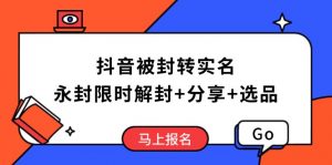 抖音被封转实名攻略，永久封禁也能限时解封，分享解封后高效选品技巧-网创星球