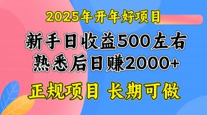 2025开年好项目，单号日收益2000左右-网创星球