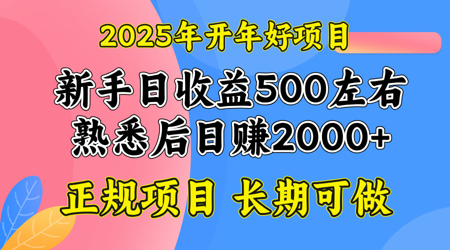2025开年好项目，单号日收益2000左右-网创星球