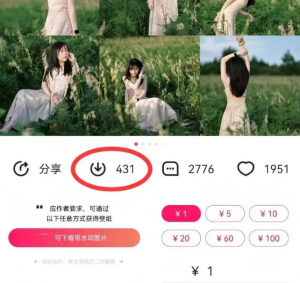 最新图虫搬运项目，收益无上限，利用AI小白也可日赚500+-网创星球