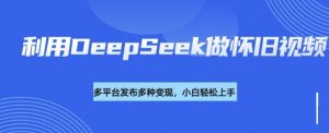 利用DeepSeek做怀旧视频，流量号多渠道变现能力强-网创星球