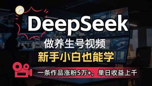 小白用DeepSeek做养生号，一条作品涨粉5万+，单日收益上千-网创星球