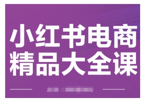 小红书电商精品大全课，快速掌握小红书运营技巧，实现精准引流与爆单目标，轻松玩转小红书电商(更新2月)-网创星球