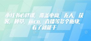 小红书必修课,覆盖电商,无人,获客,种草,mcn,直播等多个板块,看了就能干-网创星球