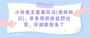 小说推文最新玩法(视频标记)，单条视频收益四位数，详细教程来了-网创星球