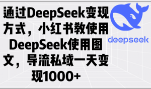通过DeepSeek变现方式，小红书教使用DeepSeek图文，导流私域一天变现1000+-网创星球