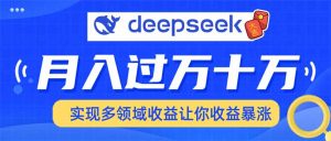用DeepSeek席卷各大平台，快速上手实现多领域，让你收入猛增-网创星球