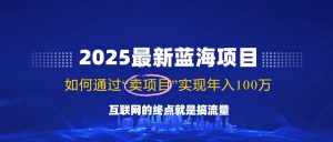 2025最新蓝海项目，零门槛轻松复制，月入10万+，新手也能操作！-网创星球