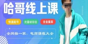 电商线上课程2025年，快速起号，流量破层级，这套方法起号率99%-网创星球