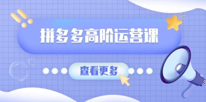 拼多多高阶运营课：极致群爆款玩法，轻付费无尽复制，打造单品爆款之路-网创星球