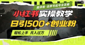 2月小红书最新日引500+创业粉实操教学【超详细】小白轻松上手，月入1W+，附小红书养号起号SOP-网创星球