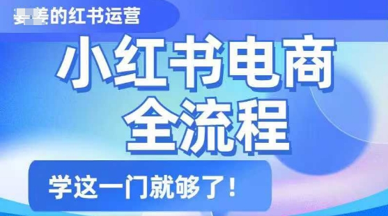 小红书电商全流程，精简易懂，从入门到精通，学这一门就够了-网创星球