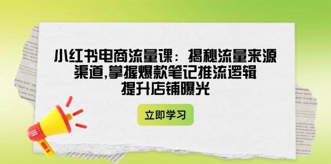 小红书电商流量课：揭秘流量来源渠道,掌握爆款笔记推流逻辑,提升店铺曝光-网创星球