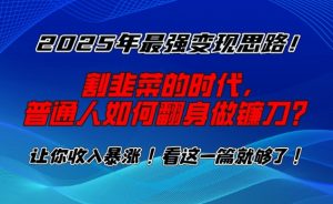 2025年最强变现思路，割韭菜的时代， 普通人如何翻身做镰刀？【揭秘】-网创星球