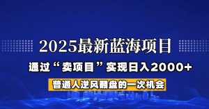 2025年蓝海项目,如何通过“网创项目”日入2000+-网创星球