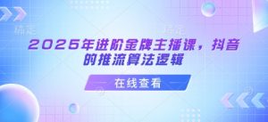 2025年进阶金牌主播课,抖音的推流算法逻辑-网创星球