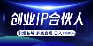 云帆·创业ip合伙人打造3.0，从0到1教你做网创，实现月入过W-网创星球