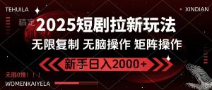 2025短剧拉新玩法，无需注册登录，无限0撸，无脑批量操作日入2000+-网创星球