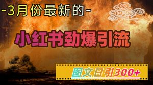 小红书超劲爆引流手段，图文日引300+轻松变现1W-网创星球