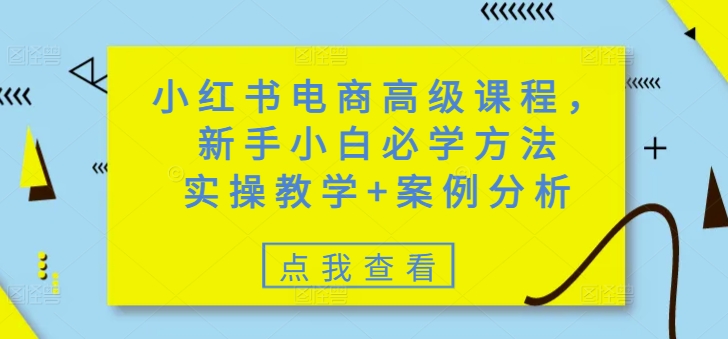 小红书电商高级课程，新手小白必学方法，实操教学+案例分析-网创星球
