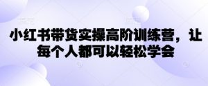 小红书带货实操高阶训练营，让每个人都可以轻松学会-网创星球