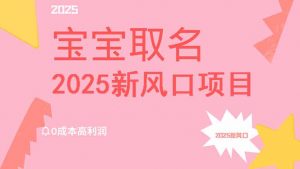2025新风口项目宝宝取名，0成本高利润，附保姆级教程，月入过万不是梦-网创星球