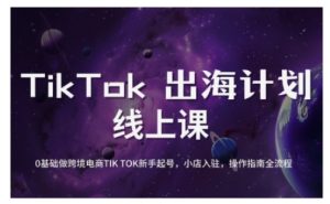 TikTok跨境电商新手起号与运营全攻略,0基础做跨境电商TIKTOK新手起号,小店入驻,操作指南全流程-网创星球