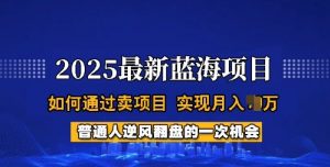 2025蓝海项目，普通人如何通过卖项目，实现月入过W，全过程【揭秘】-网创星球