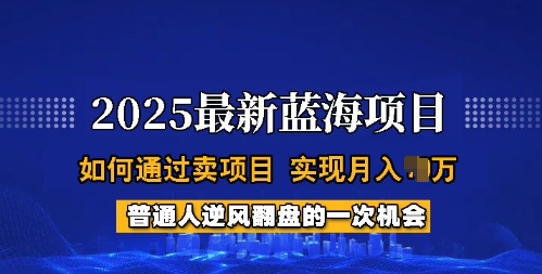 2025蓝海项目，普通人如何通过卖项目，实现月入过W，全过程【揭秘】-网创星球