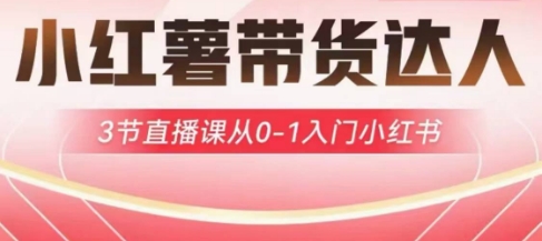 小红薯达人带货启航计划，3节直播课从0-1入门小红书-网创星球