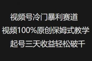 视频号冷门暴利赛道视频100%原创保姆式教学起号三天收益轻松破千-网创星球